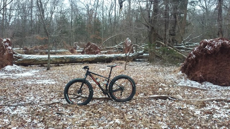 013117 Downed Trees Rutgers Eco.jpg