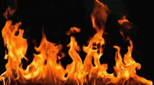 135AA3D4-5DFB-4230-B1B2-F09C1FDCBFDB.gif