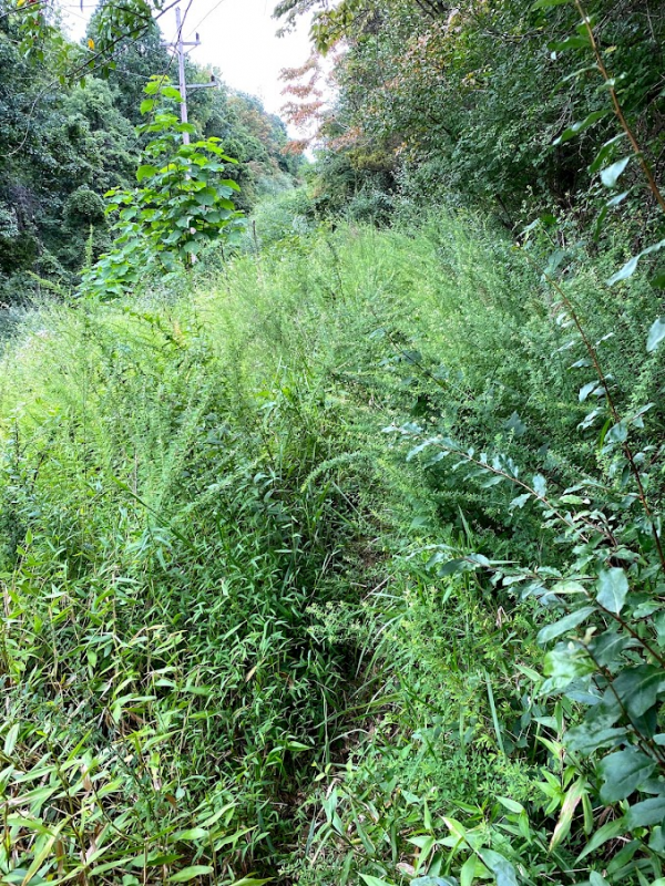 1631188097827.png 1631188097827.png