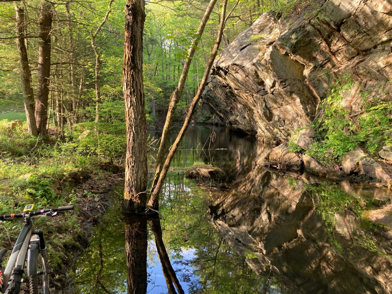 1715651709066.png