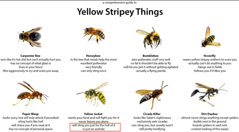 1754762049700.png