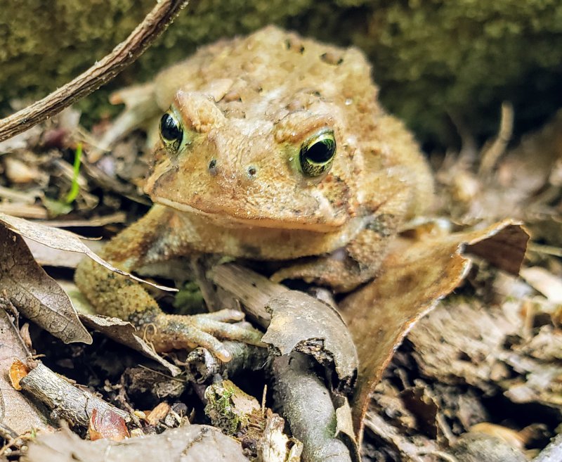 20190615_151214.jpg