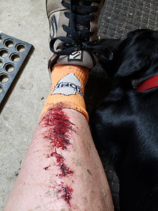 20190622_114056.jpg