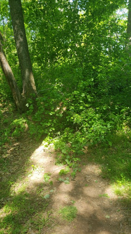 20210517_110309.jpg
