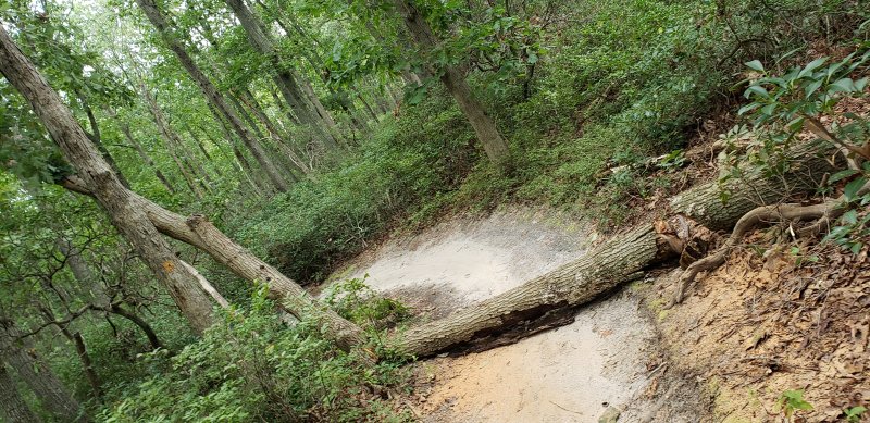 20210829_083819.jpg