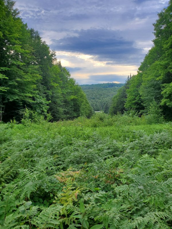20220724_183021.jpg