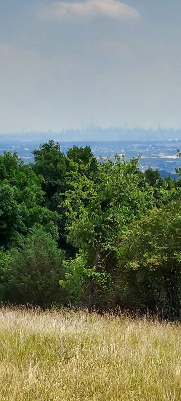 20220727_143816.jpg