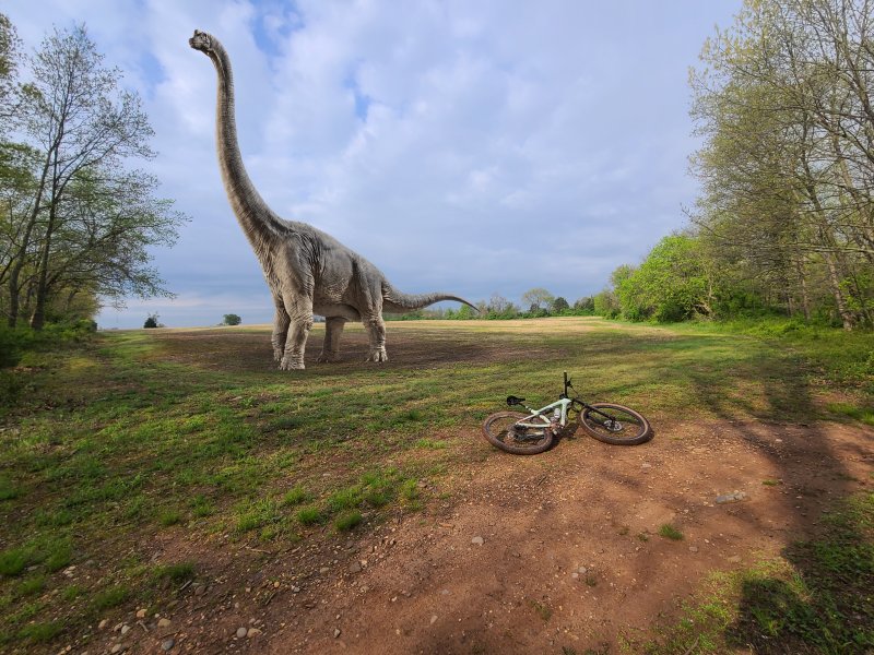 20230427_084609 copy.jpg