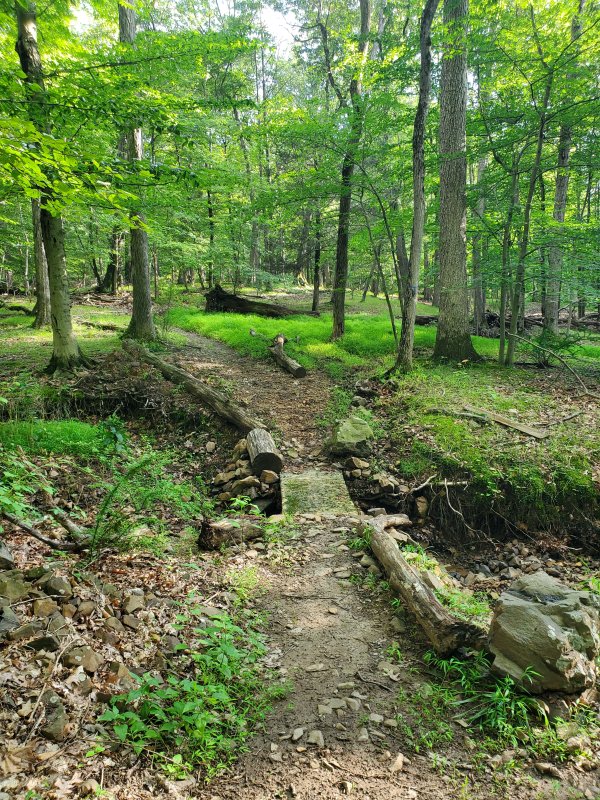 20230704_181620.jpg