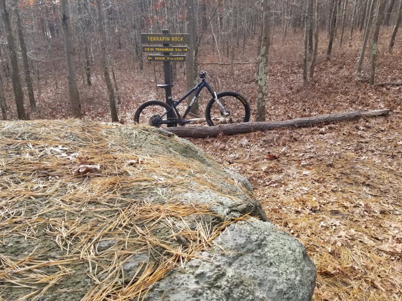 20231125_125748.jpg