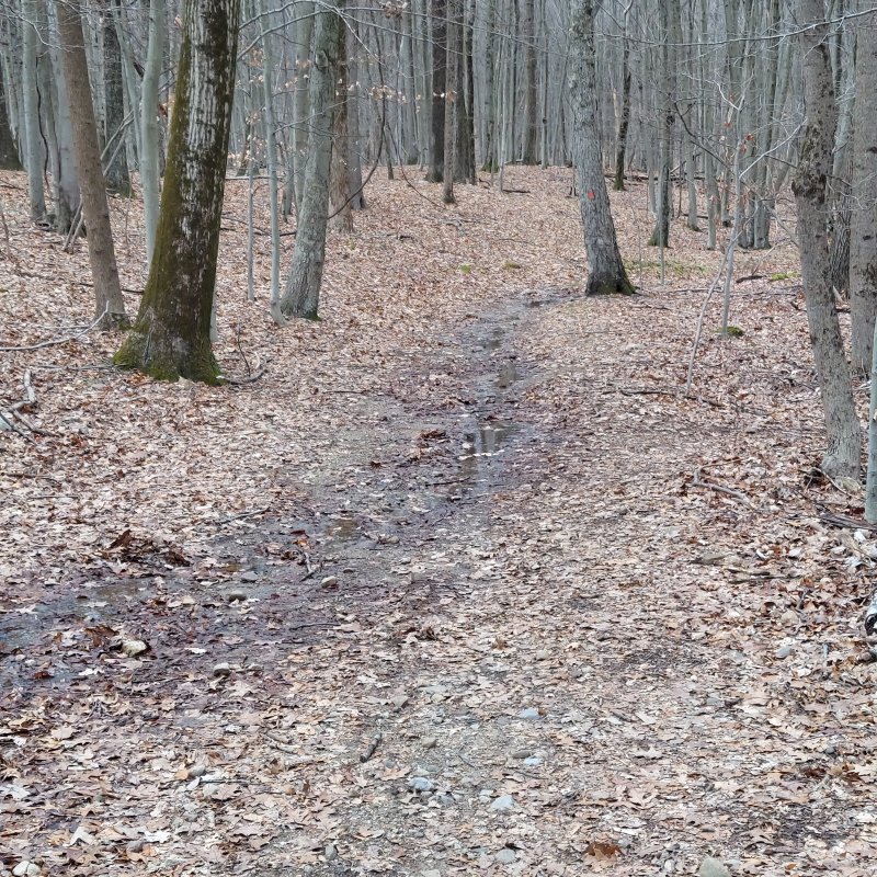 20240307_132241.jpg