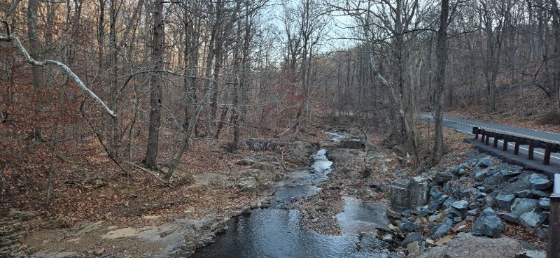 20250105_152446.jpg