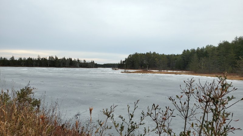 20250118_083506.jpg