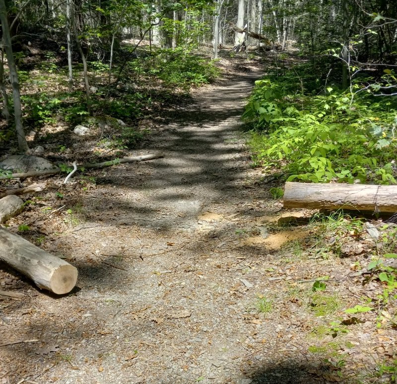 20250624_112842[1].jpg