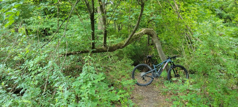 20250816_083132.jpg