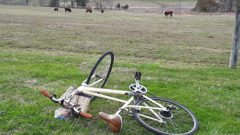 3.20.20 with karen bike fell from wind.jpg
