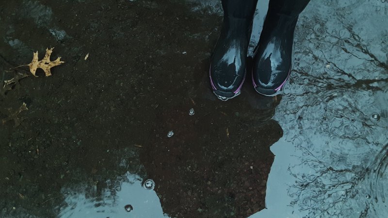 3.23.20 puddles.jpg