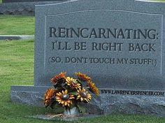 43565aad8a0189c5f5a4465368a65207--funny-shit-funny-stuff.jpg