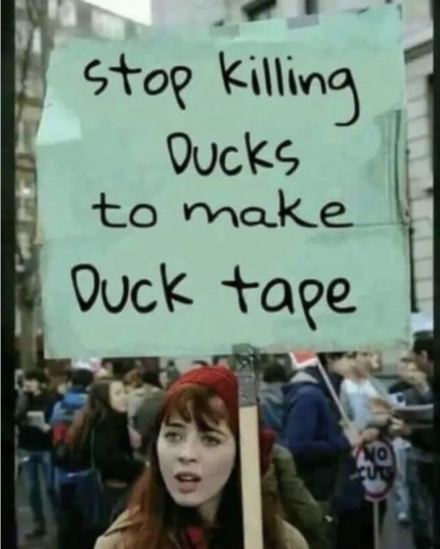 9CB0B08D-68F1-402F-8C5B-FDAC080300DF.jpeg