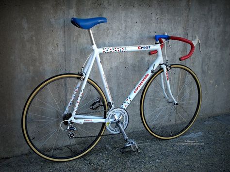 cannondale.jpg