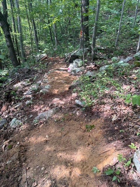 Climb 1.jpg