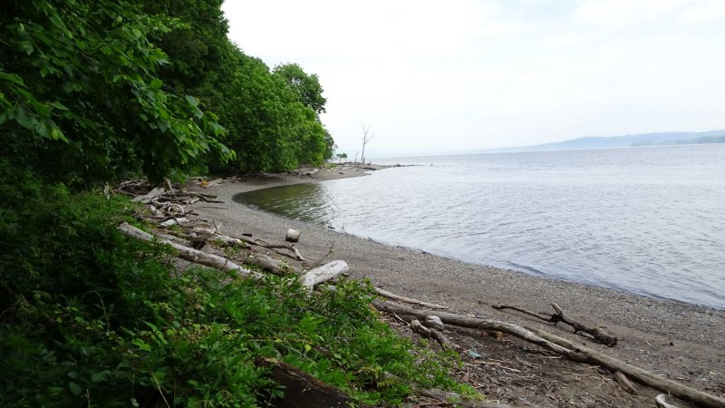 Dsc00215.jpg