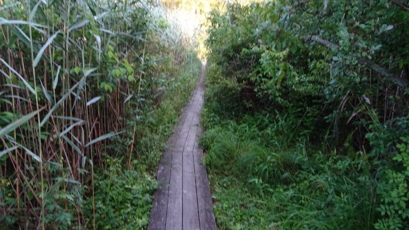Dsc00346.jpg