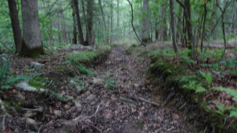 Dsc00470.jpg