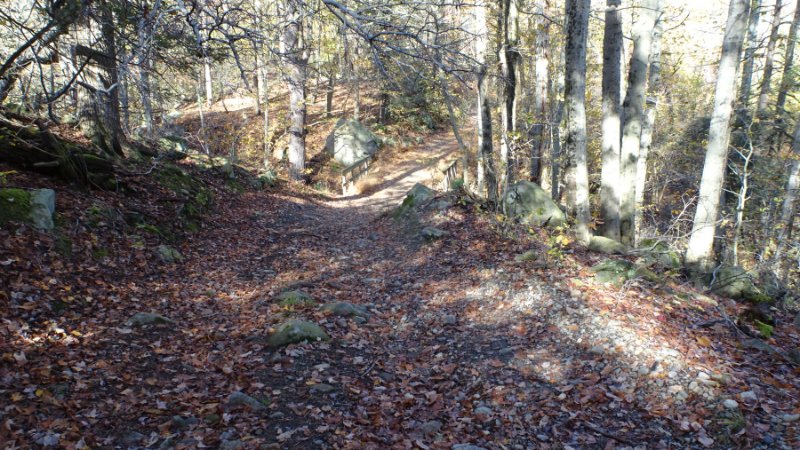 Dsc00899.jpg