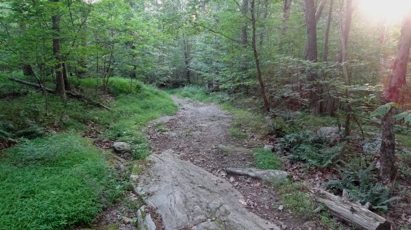 Dsc08657.jpg