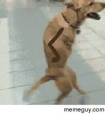funniest-gif--71383.gif