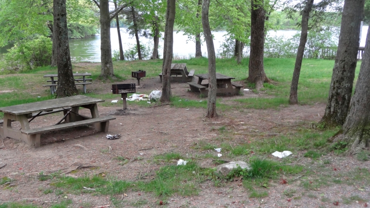 garbage example05.jpg