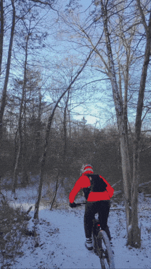 GIF_20250107_123834_336.gif