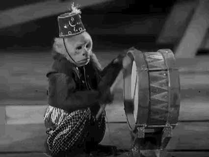 giphy (1).gif