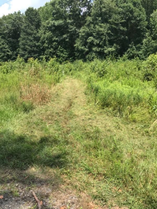 IMG_0558 B trail After.jpeg