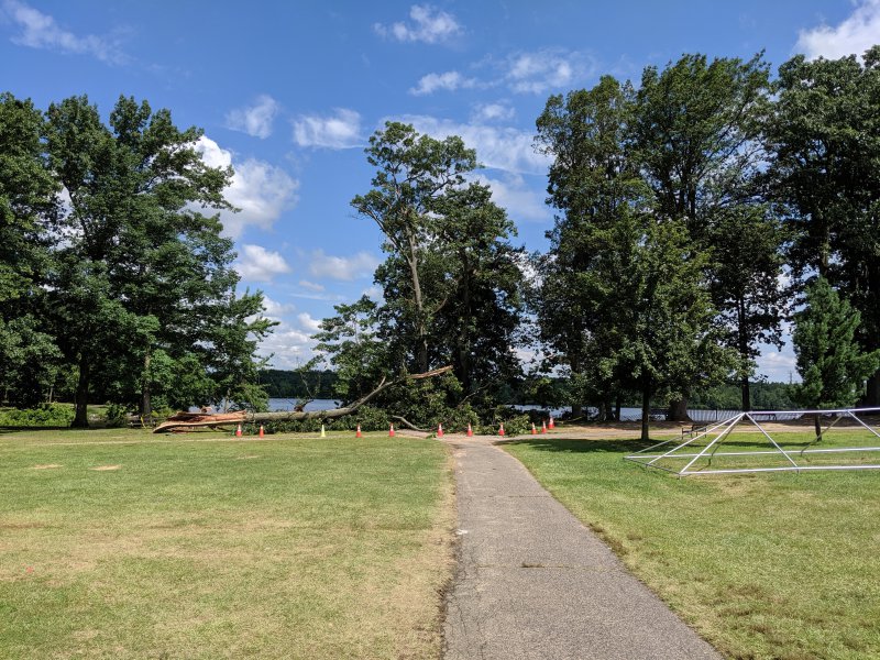 IMG_20190724_110502.jpg