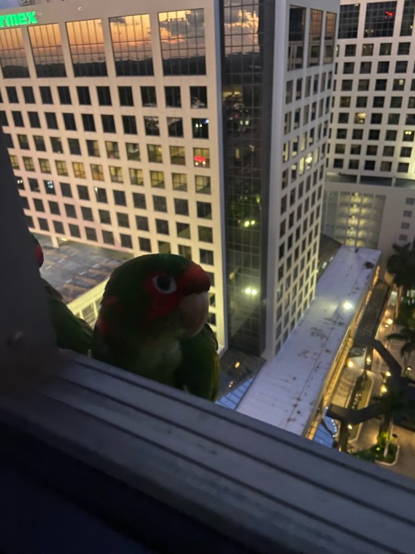 IMG_3303.jpeg
