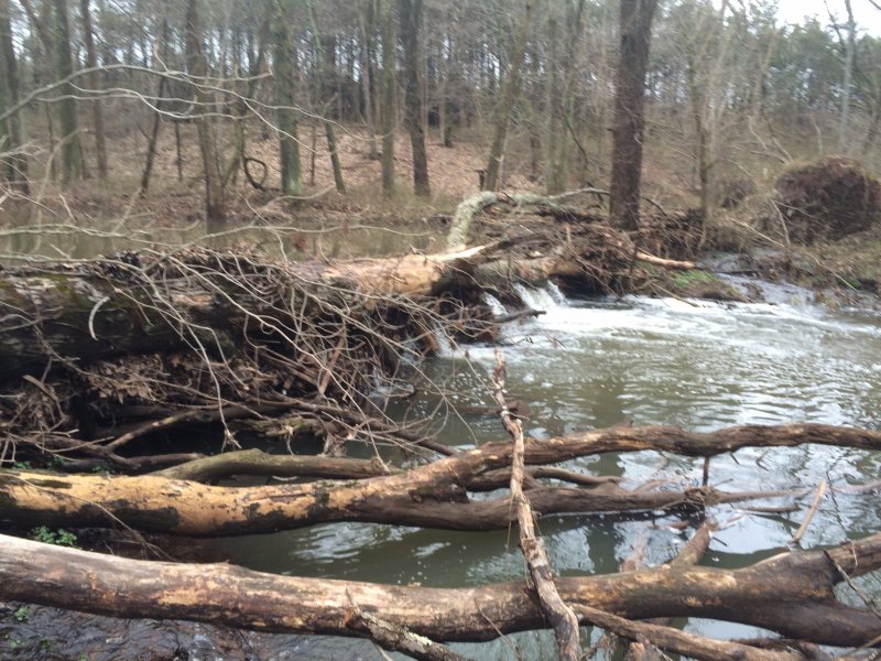 IMG_4257 - Edited.jpg