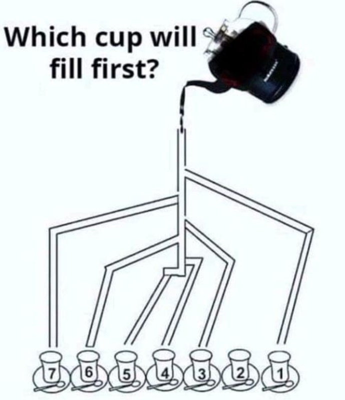 IMG_5507.jpeg