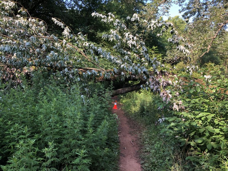 IMG_6204.jpg IMG_6204.jpg