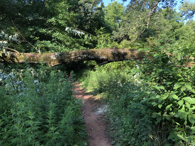 IMG_6205.jpg IMG_6205.jpg