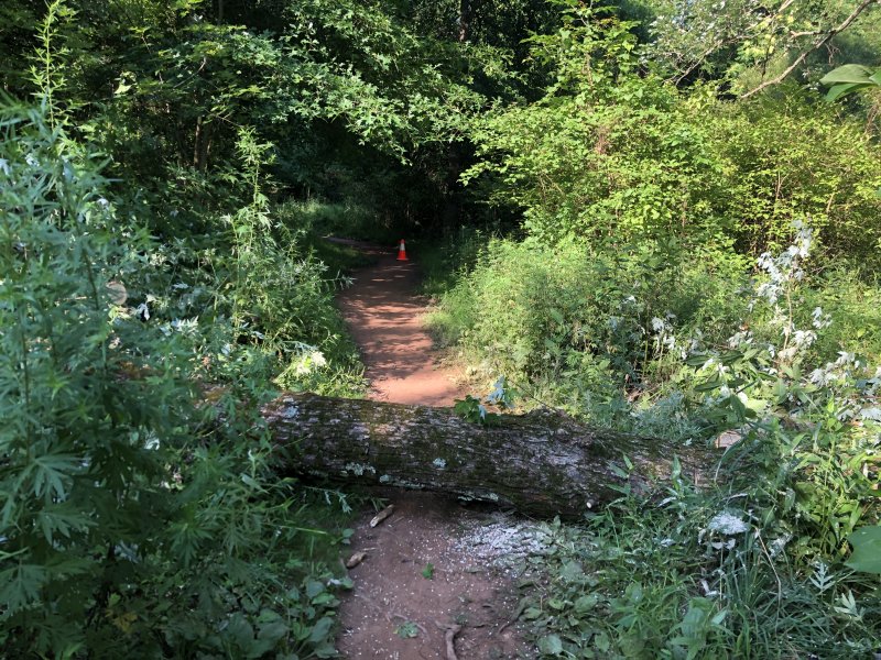 IMG_6206.jpg IMG_6206.jpg