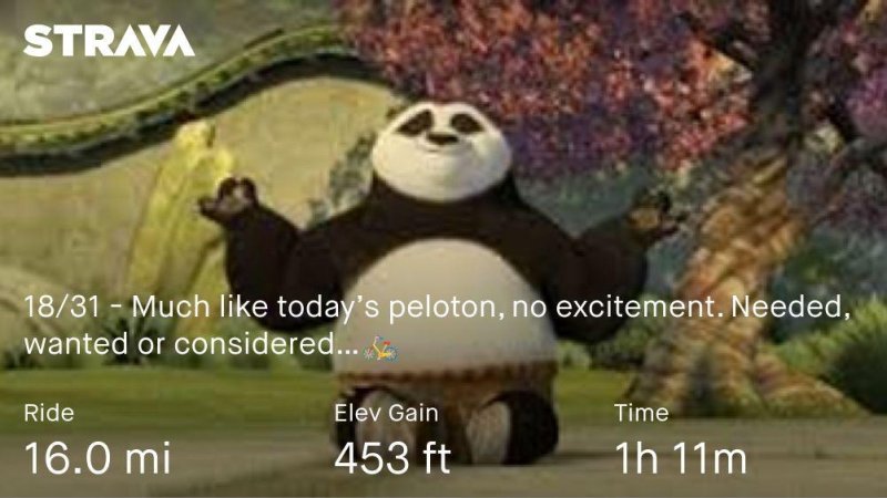 IMG_6929.jpeg