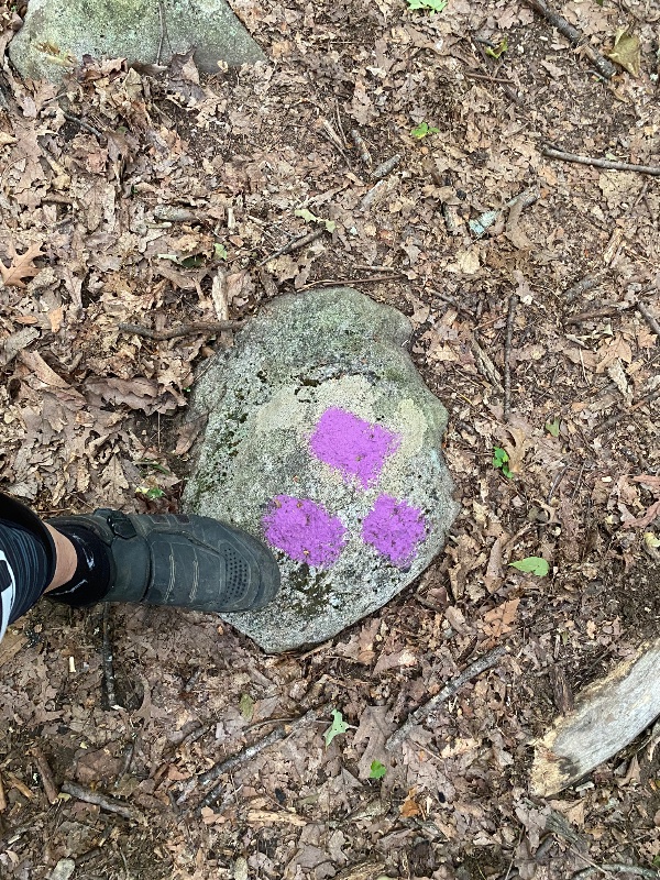 IMG_7613.jpeg