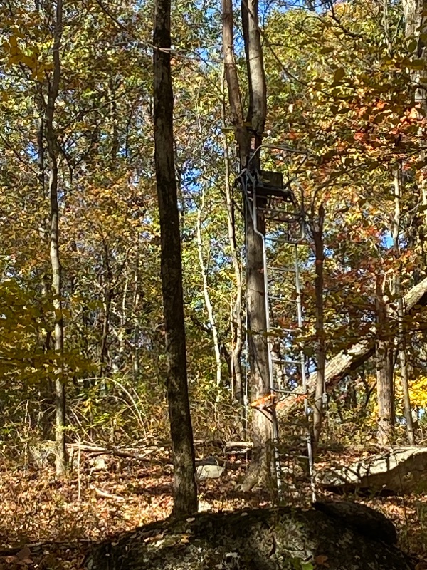IMG_8217.jpeg