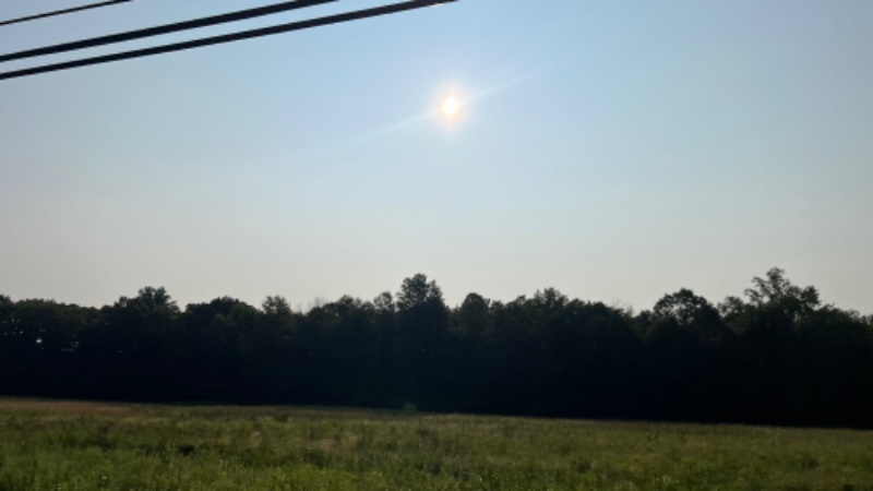 IMG_9165.jpeg