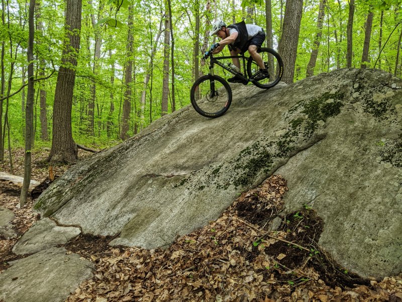 JARE DROX PXL_20210510_205812708-01.jpg