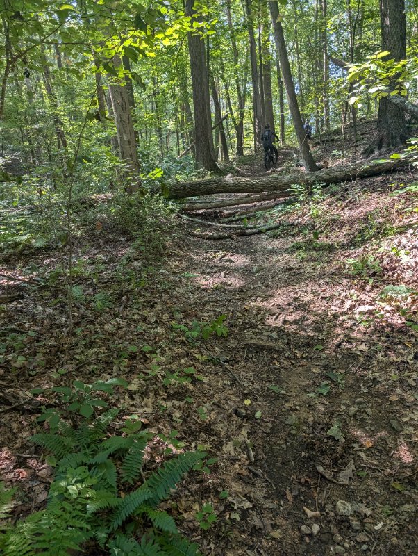 PXL_20240825_150457173.jpg