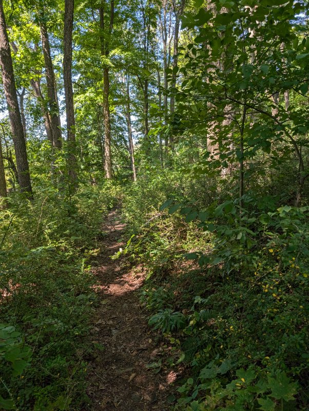 PXL_20240905_181839568.MP.jpg