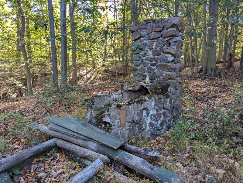 PXL_20241006_141342996.jpg